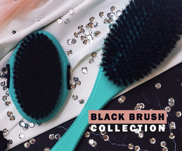 Black Brush Collection