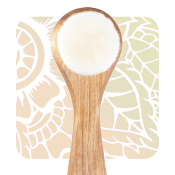 Facial cosmetic brushes